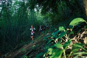 BIB: 
                            <button type="button" onclick="openModal(28124442)" class="btn btn-primary btn-sm float-right btn-popup" data-toggle="modal" data-target=".modal-high-quality">
                        <i class="fas fa-shopping-cart"></i> Add to Cart
                    </button>
                                            <button type="button" onclick="isThisMe(28124442, true)" class="btn btn-success btn-sm float-right btn-popup btn-isme hidden" data-toggle="tooltip" data-placement="bottom" title="นี่คือรูปของคุณใช่ไหม คลิกที่นี่เพื่อเอาเข้าอัลบั้ม">
                        <i class="fas fa-plus"></i> Add to album
                    </button>
                    <button type="button" onclick="isThisMe(28124442, false)" class="btn btn-warning btn-sm float-right btn-popup btn-isnotme hidden">
                        <i class="fas fa-ban"></i> Remove from album
                    </button>